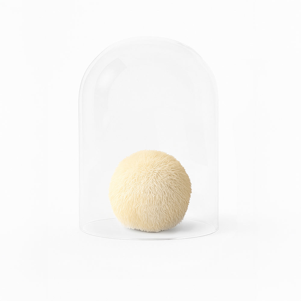 Pure Night Flüssigextrakt mit Reishi und Hericium
