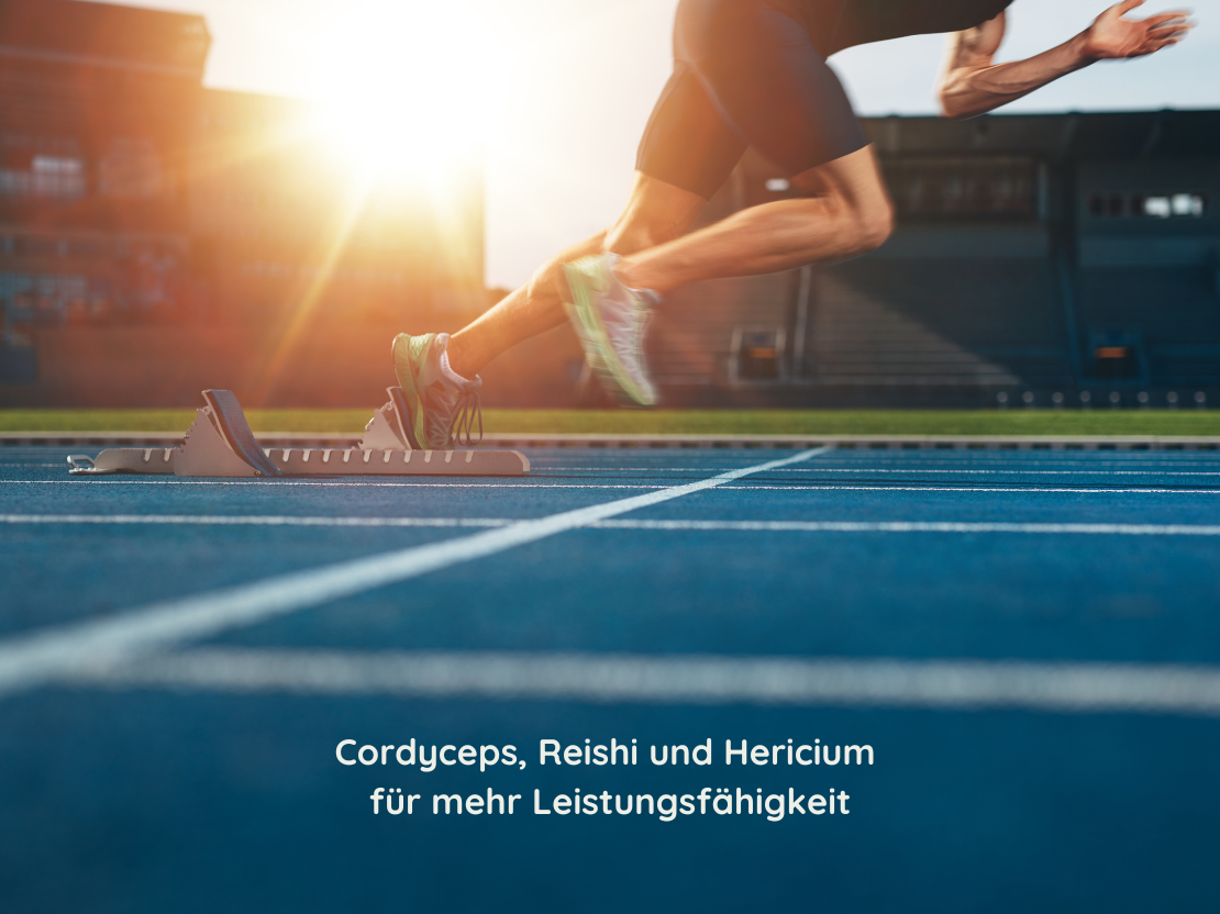 Vitalpilze im Sport: Cordyceps, Reishi & Hericium für mehr Leistungsfähigkeit