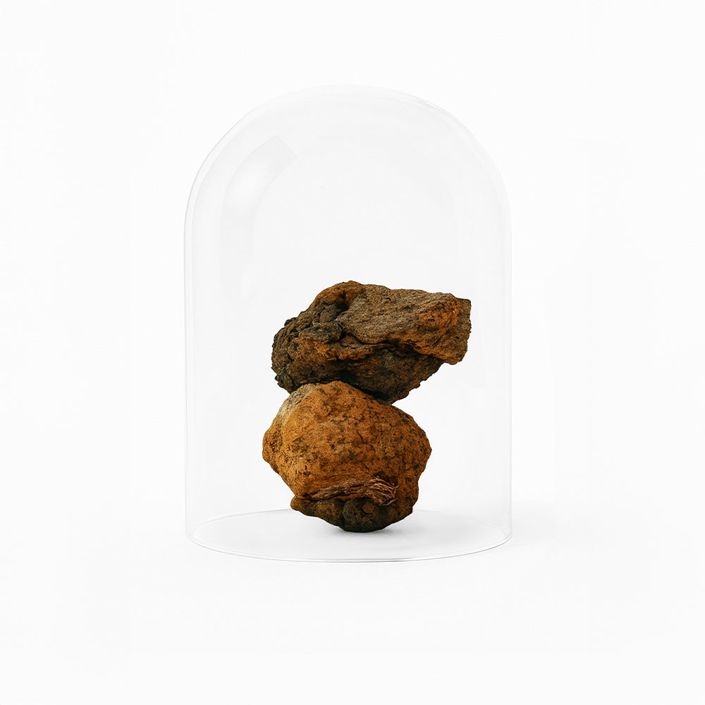 Bio Chaga Brocken aus Finnland