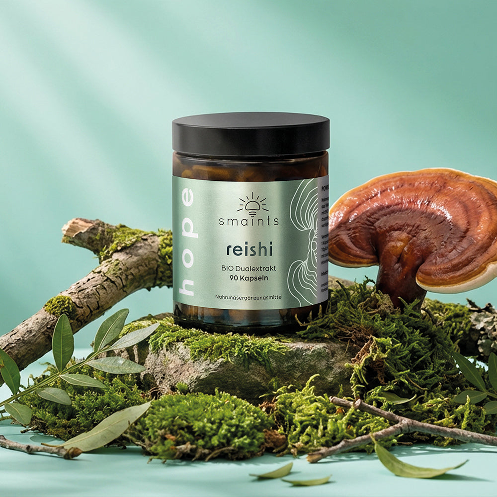 6er Angebot Bio Reishi Extrakt Kapseln