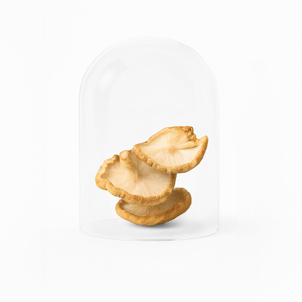 Golden Mushroom Milk 2.0 mit Chaga und Shiitake 210g